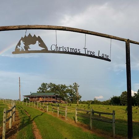 Rural Life On A Real Christmas Tree Farm! Hallmark Experience! Ozark Eksteriør billede