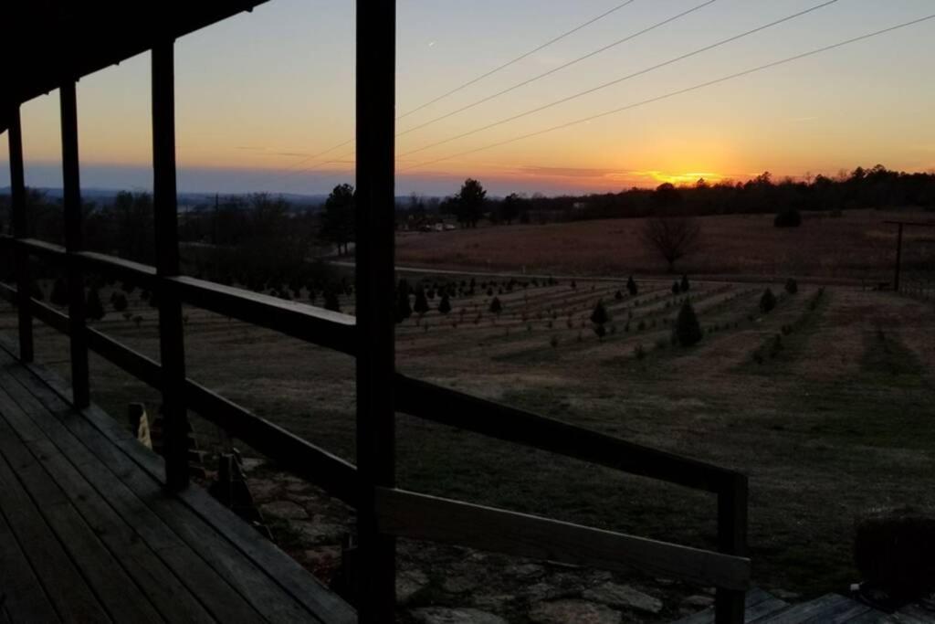 Rural Life On A Real Christmas Tree Farm! Hallmark Experience! Ozark Eksteriør billede