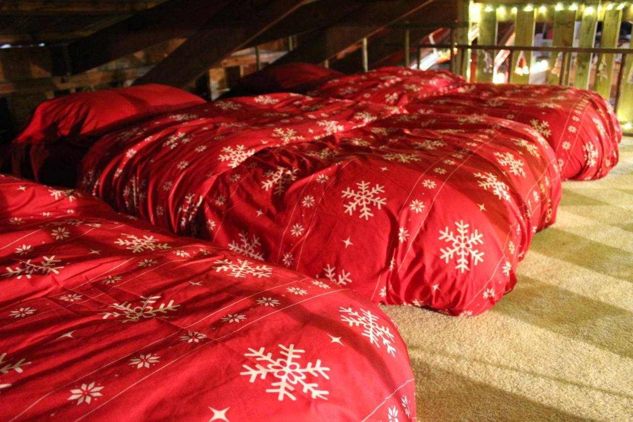 Rural Life On A Real Christmas Tree Farm! Hallmark Experience! Ozark Eksteriør billede