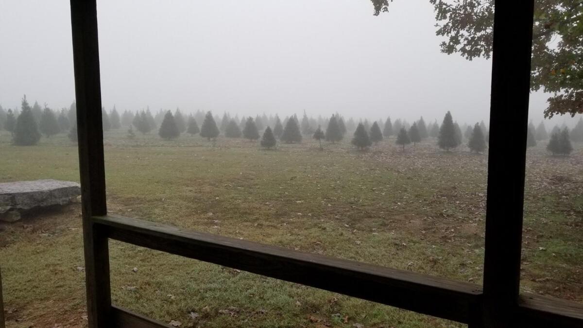 Rural Life On A Real Christmas Tree Farm! Hallmark Experience! Ozark Eksteriør billede