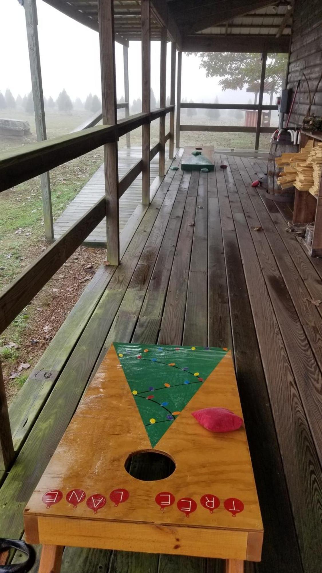 Rural Life On A Real Christmas Tree Farm! Hallmark Experience! Ozark Eksteriør billede
